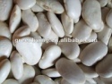 chinese white kidney beans 180-220pcs - product's photo
