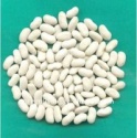 chinese white kidney beans (dry) - product's photo