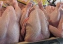 frozen chicken exporters - product's photo