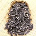large size edible sunflower seed - product's photo