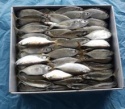 fresh mackerel fish with premium - product's photo