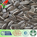 sunflower seeds specification 280-290/50gram - product's photo