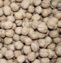 walnut in shell - product's photo