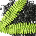 black sparkle kidney beans - product's photo