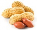 peanut kernel - product's photo