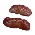 buffalo kidney - product's photo