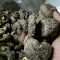 edible bulk dried shiitake whole - product's photo