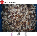  frozen boletus edulisfrozen mushroom - product's photo