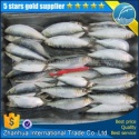 new arrival best price fresh seafood sardine fish on sale - product's photo