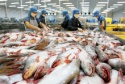 fresh catfish from vietnam at best price - product's photo