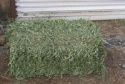 alfalfa hay from turkey  - product's photo