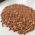 high quality roasted buckwheat - product's photo