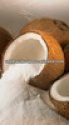 coconut milk or cream powder for food - product's photo