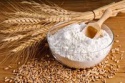 quality food grade wheat flou - product's photo