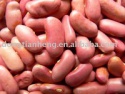 light red kidney bean - product's photo