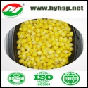 iqf frozen sweet corn kernel - product's photo