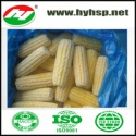 frozen sweet corn cut high quality - product's photo