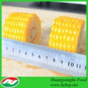 frozen sweet corn with 3.5cm length - product's photo