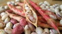 cranberry / pinto beans - product's photo