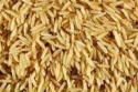 organic brown basmati rice - product's photo