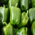 fresh sweet pepper - product's photo