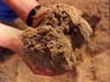 fish meal for cattle feed - product's photo