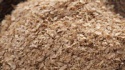 wheat bran for sale - product's photo