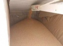 feed grade soybean meal - product's photo