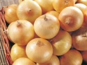 fresh yellow onion - product's photo