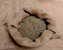 100% kona coffee green beans  - product's photo