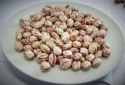 light speckled kidney beans red kidney beans - product's photo