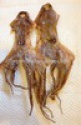 dry octopus - product's photo