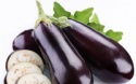eggplant - product's photo