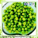 canned green peas - product's photo