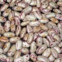 100% black, red and white kidney beans - product's photo
