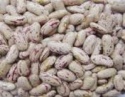 sparkled kidney beans - product's photo