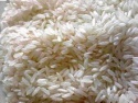 top quality indian basmati rice - product's photo