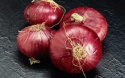 export quality nashik fresh red onion - product's photo