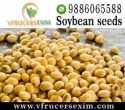 soya bean seeds - product's photo