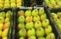 fresh mango kensington pride - product's photo