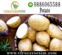 export quality farm fresh potato - product's photo