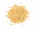 yellow millet for cattle feed - product's photo