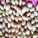 jsx cost price white kidney beans - product's photo