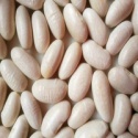 jsx types of price of white kidney beans  - product's photo