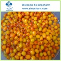 seabuckthorn berries fruits - product's photo