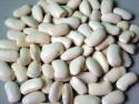 100% natural white kidney bean / p.e. 5:1 - product's photo