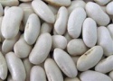 high quality white kidney bean  - product's photo
