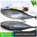 5kg weight fresh tuna fish from fao 61 - product's photo