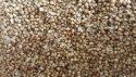 coriander seeds - product's photo