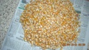 yellow maize - product's photo